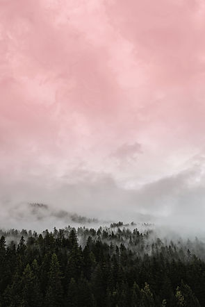 Image by eberhard 🖐 grossgasteiger