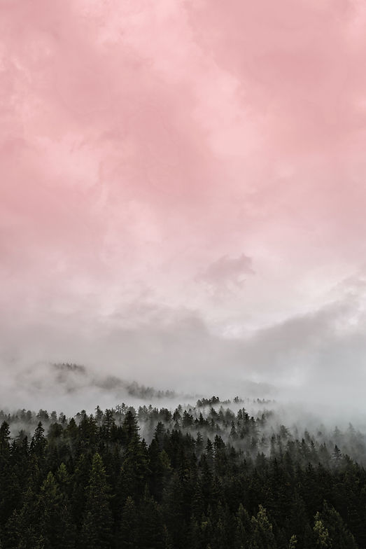 Image by eberhard 🖐 grossgasteiger
