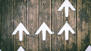 Studying the impact of data sharing initiatives