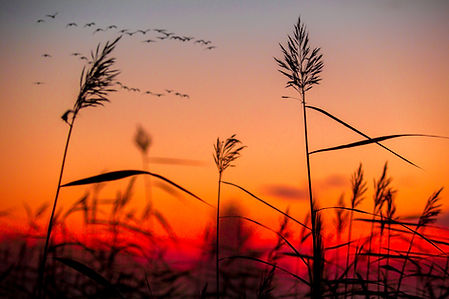 Image by Saad Chaudhry