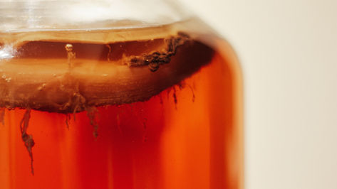 IS KOMBUCHA HEALTHY?