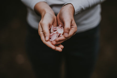 Image by Annie Spratt