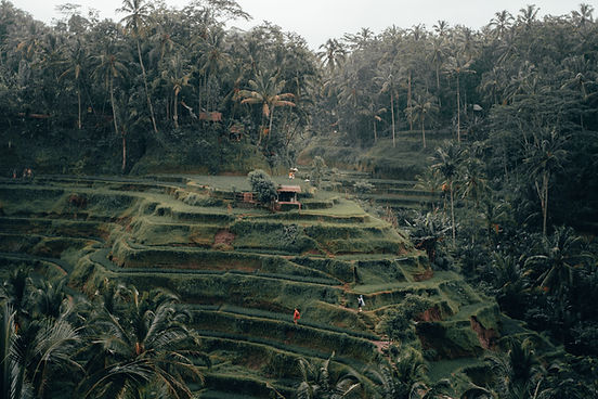 Image de Radoslav Bali