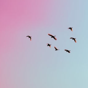 Skin I I I I  I . stay strong I I  I