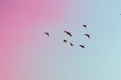 Image by Gauravdeep Singh Bansal