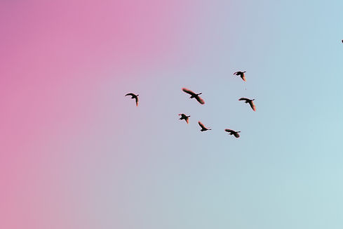 Image by Gauravdeep Singh Bansal