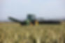 Family Farm Tax Will Not Achieve Government Intentions