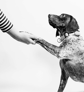 Image by Fabian Gieske