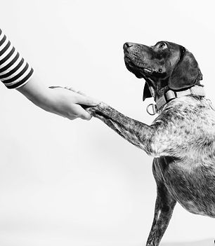 Image by Fabian Gieske