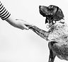 Image by Fabian Gieske