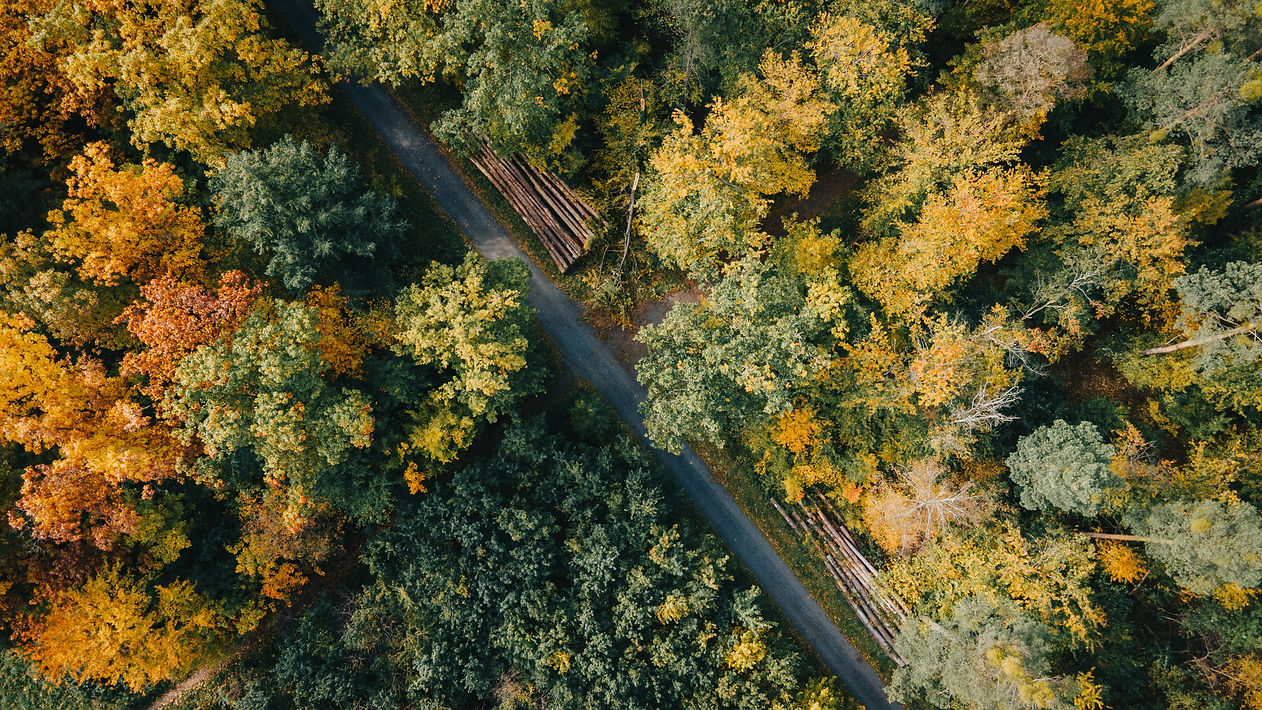 Image de Pascal Scholl