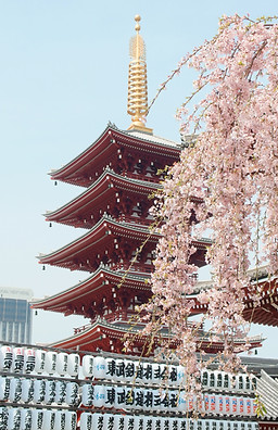 Image by Yu Kato