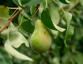 Image by Joanna Stołowicz