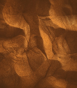 Image de Phillip Glickman