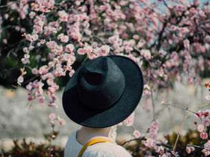 Hiroshima Cherry Blossoms 2026: 10 Best Sakura Spots in Hiroshima