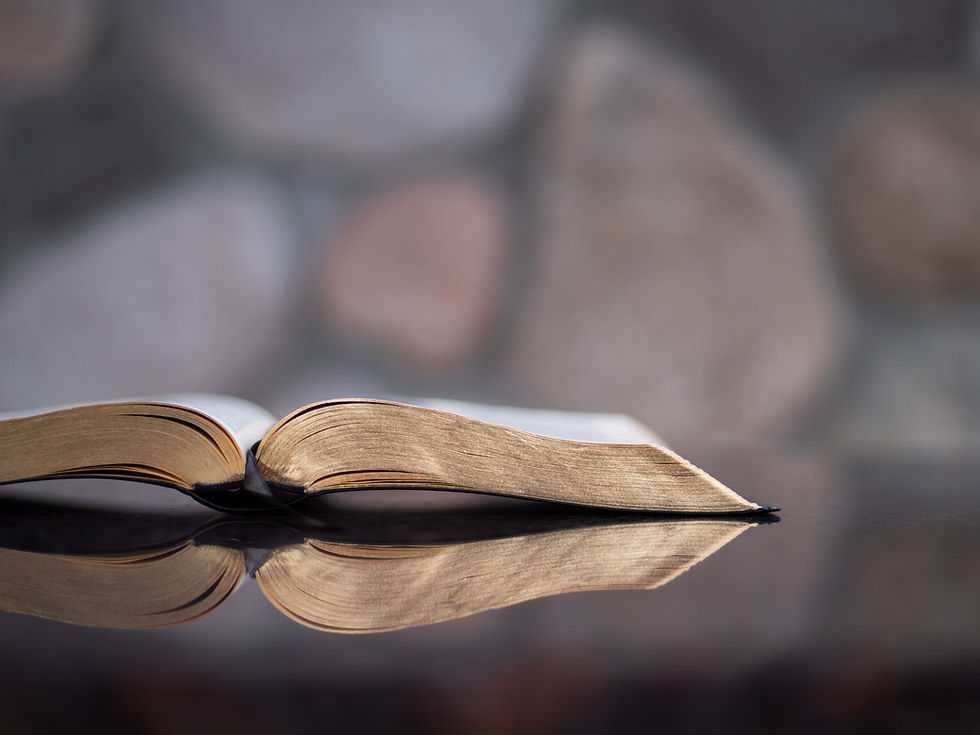 Bible Study: What are our Lives?