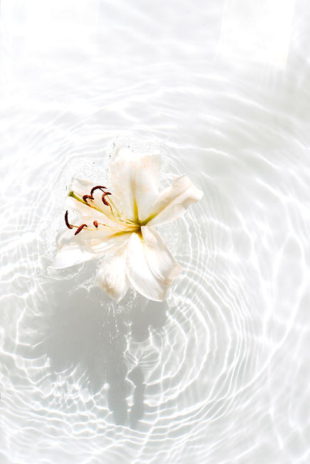 Image by Evie S.