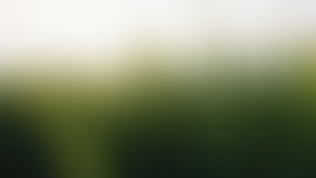 1st April - Thought For The Day- Roots