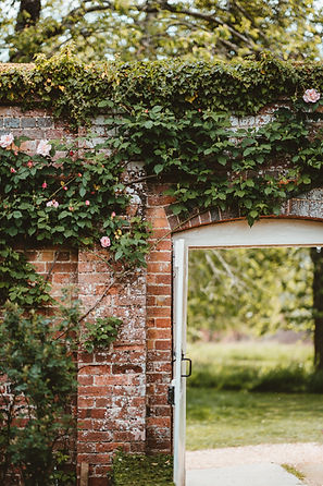 Image by Annie Spratt