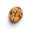 รูปภาพนักเขียน: Juglans Regia