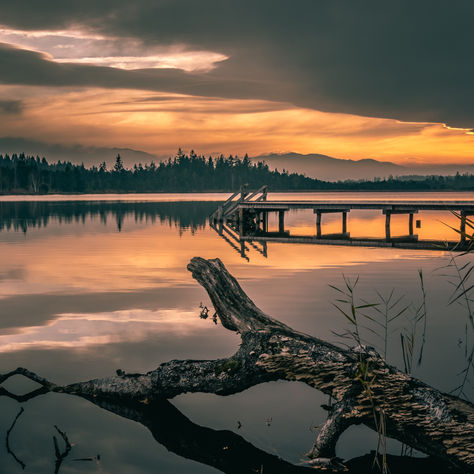 Blake and Wordsworth on Appreciating Each Moment