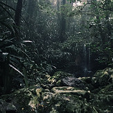 Image by Cameron Smith