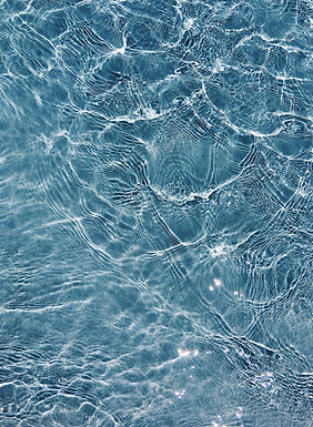 Image by Noah Usry