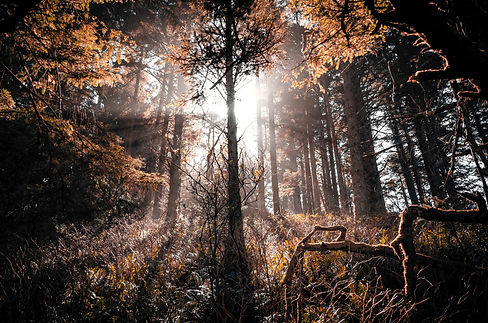 Image by Aaron Huber