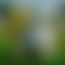 世界盃心理學:個個忽然熱衷睇波?逆境勝出更令人振奮?