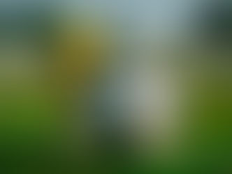 Galvão Bueno de volta à Copa do Mundo – agora no SBT