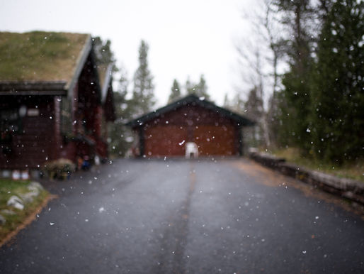 Feuerwehr befreit eingebrochenes Pferd von Schuppendach