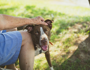 Image by Christin Noelle