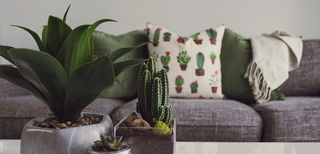 Image by DESIGNECOLOGIST