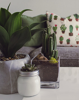 Image by DESIGNECOLOGIST
