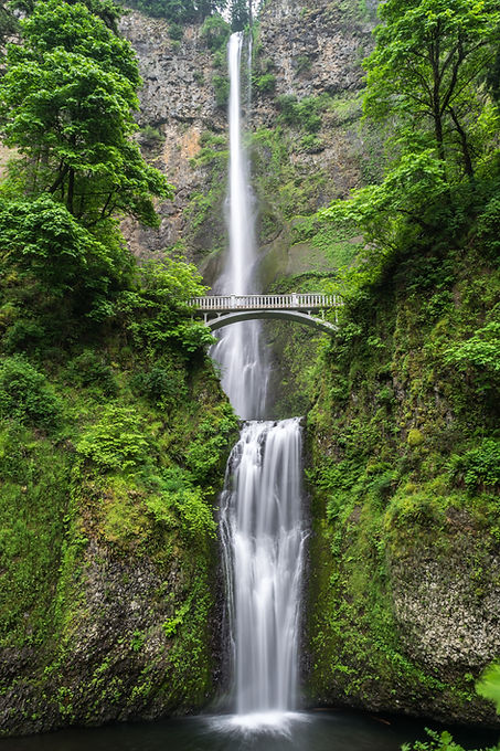 Image by Blake Richard Verdoorn