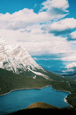 Image by Ezra Jeffrey-Comeau