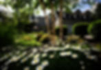 Front yard with flower beds and shrubs