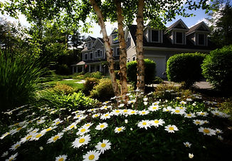 Image by Thirsty Turf Irrigation