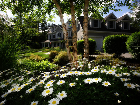 Getting ready to sell your home? Here's what you need to do.