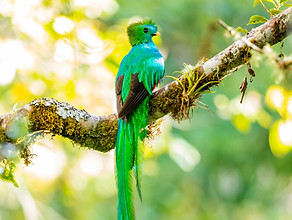 Merveilles naturelles du Costa Rica