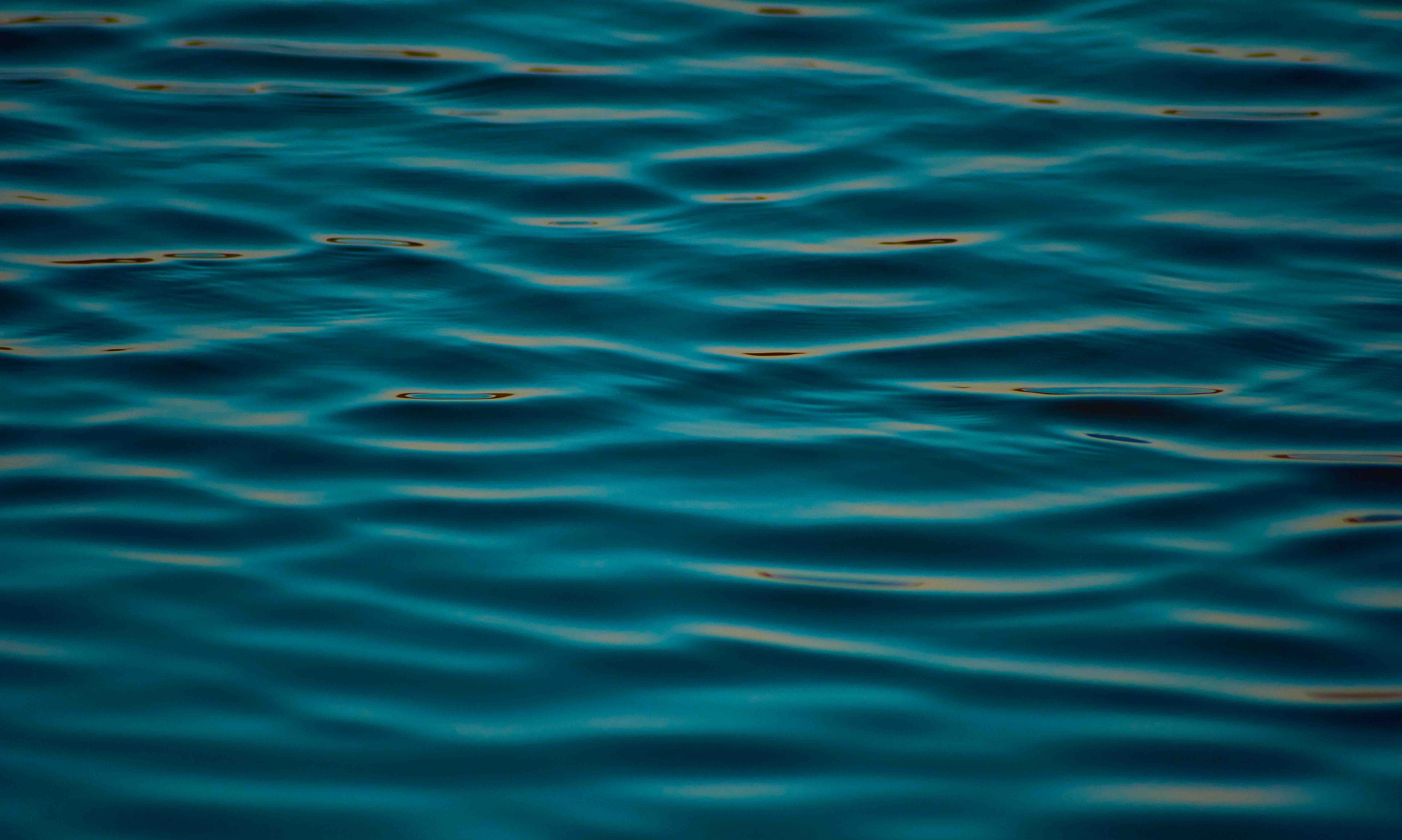 Image by SwapnIl Dwivedi