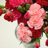 Pink and red carnations in a flower vase