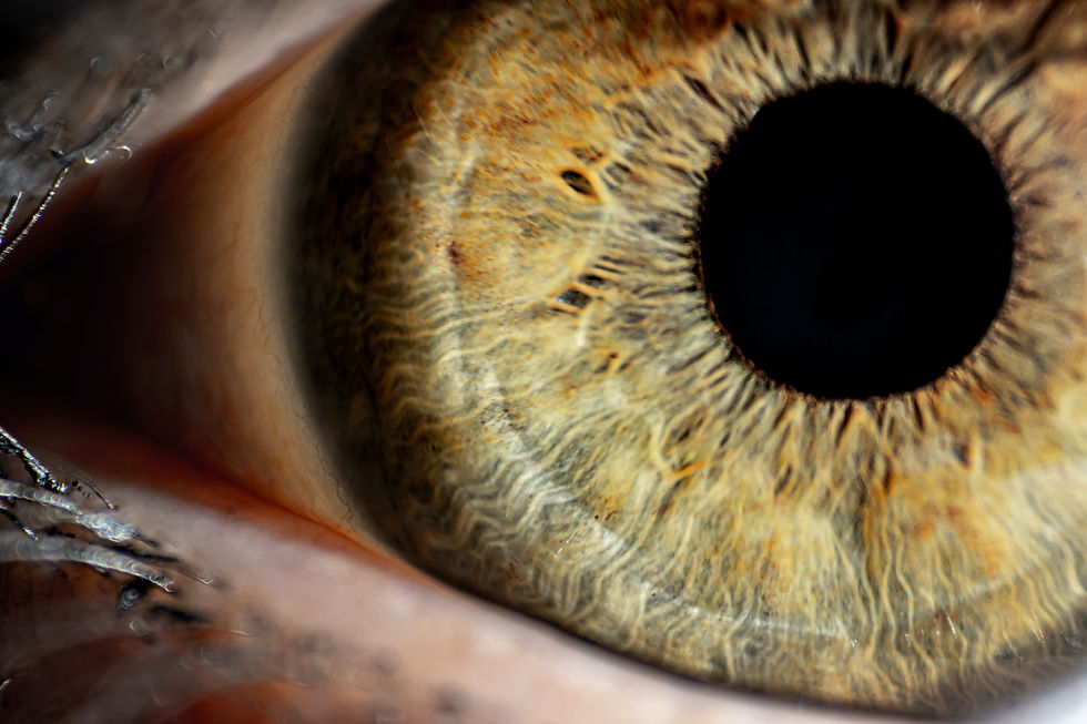 What Does EMDR Therapy Actually Feel Like?