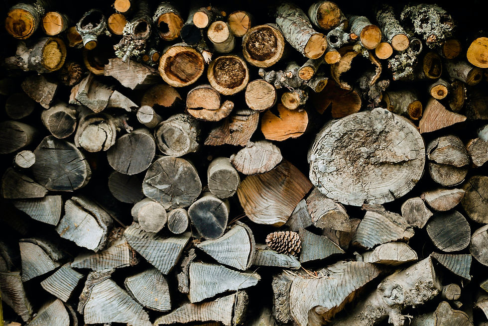 Image de Sarah Elizabeth