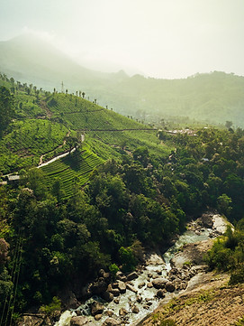 Image by Meriç Dağlı