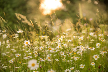 Image by andreas kretschmer