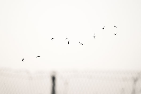 „Zwischen Reiz und Reaktion gibt es einen Raum. In diesem Raum haben wir die Freiheit und die Macht, unsere Reaktion zu wählen. In unserer Reaktion liegen unser Wachstum und unsere Freiheit.”