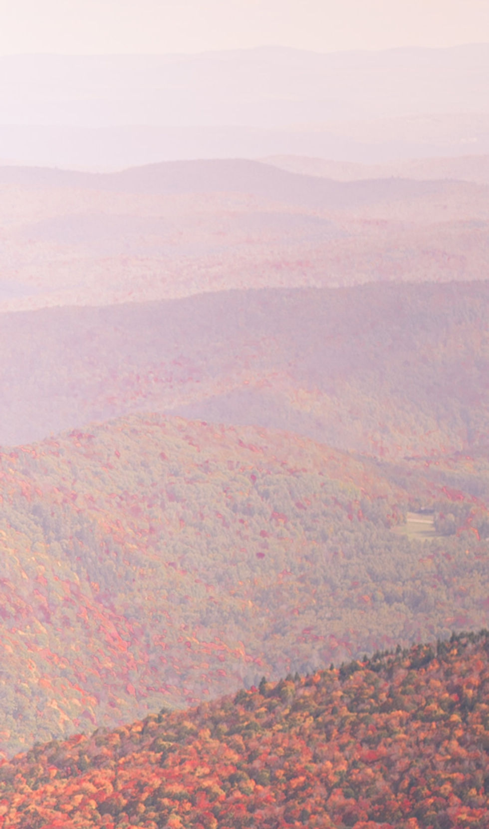 Image by Chris Turgeon