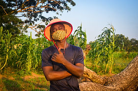 Image by Abubakar Balogun