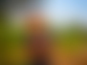 7 African-Inspired Sustainable Living Tips To Celebrate Earth Day